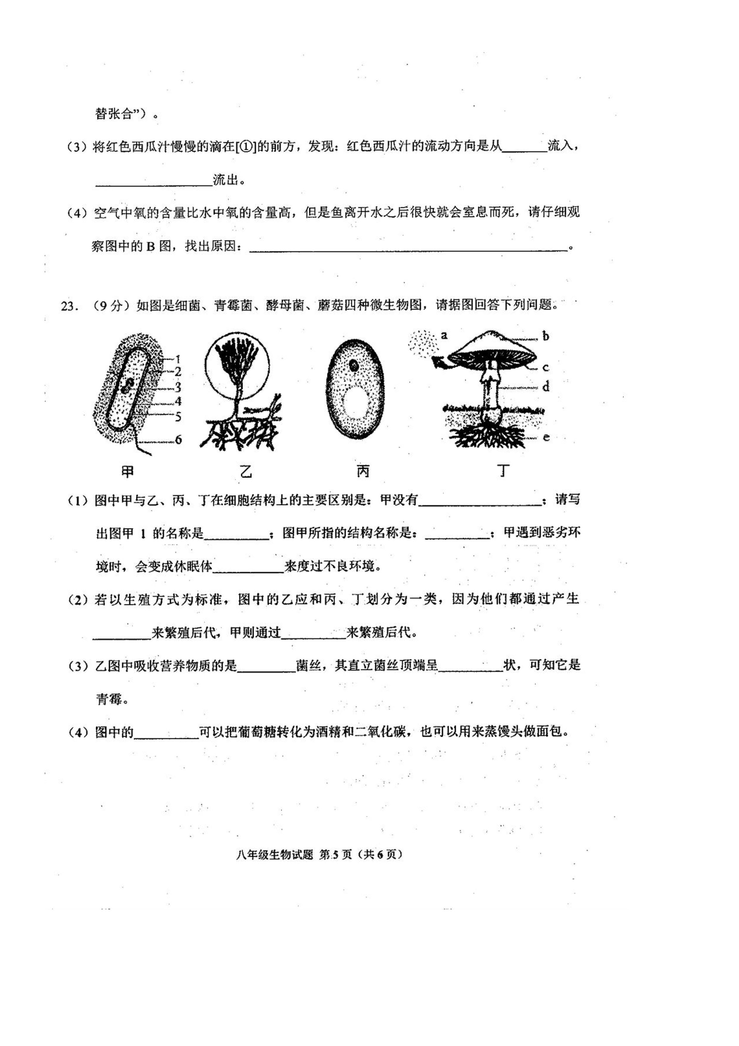 2019-2020河南商水县希望中学八年级生物上册期末试题