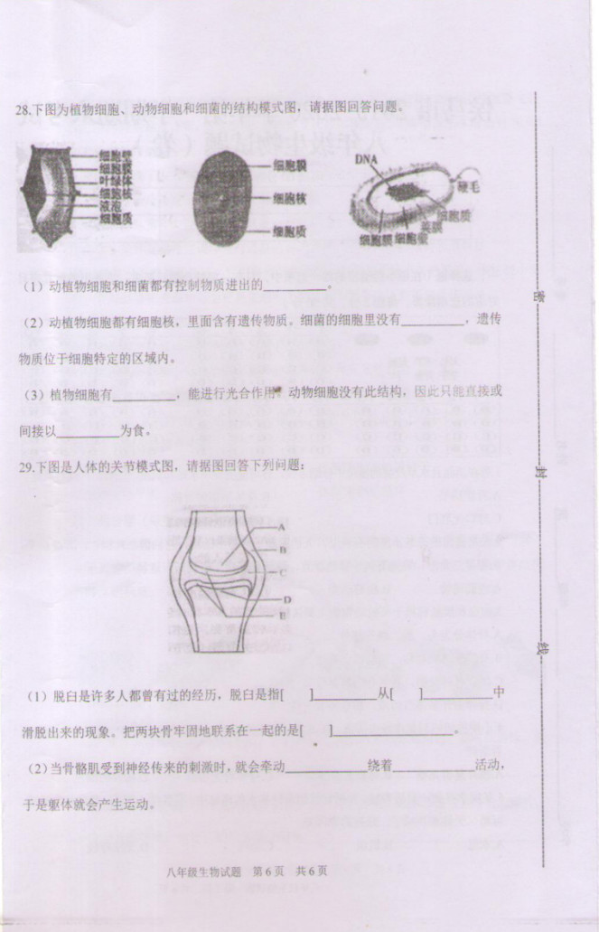 2019-2020山西侯马市八年级生物上册期末试题（图片版）