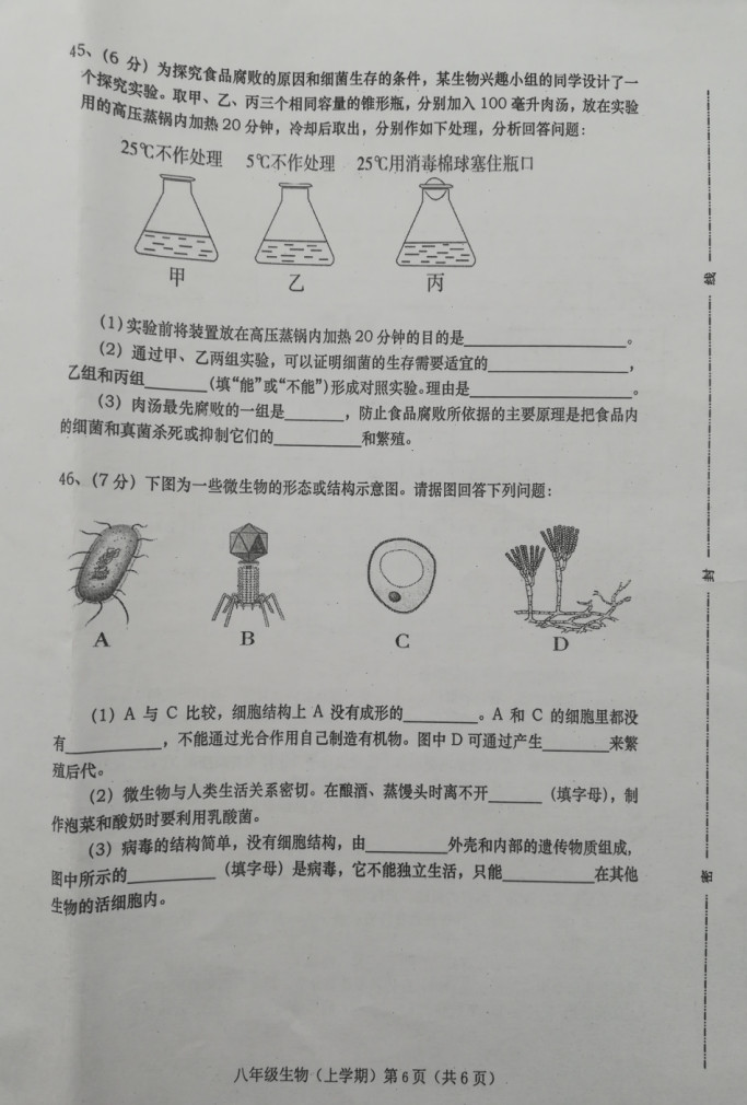 2019-2020云南红河州八年级生物上册期末试题无答案（图片版）