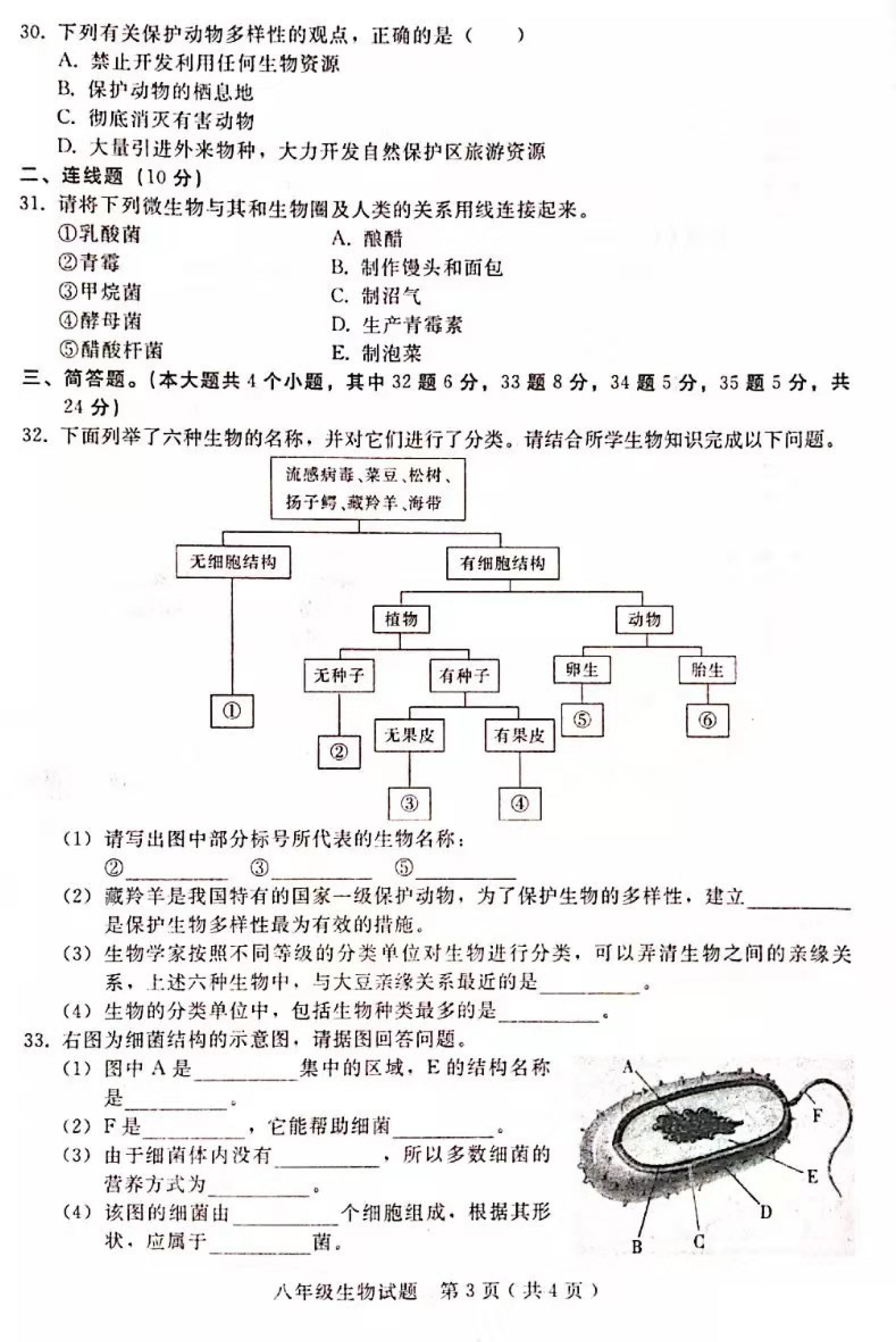 2019-2020河北邢台八年级生物上册期末试题（图片版）