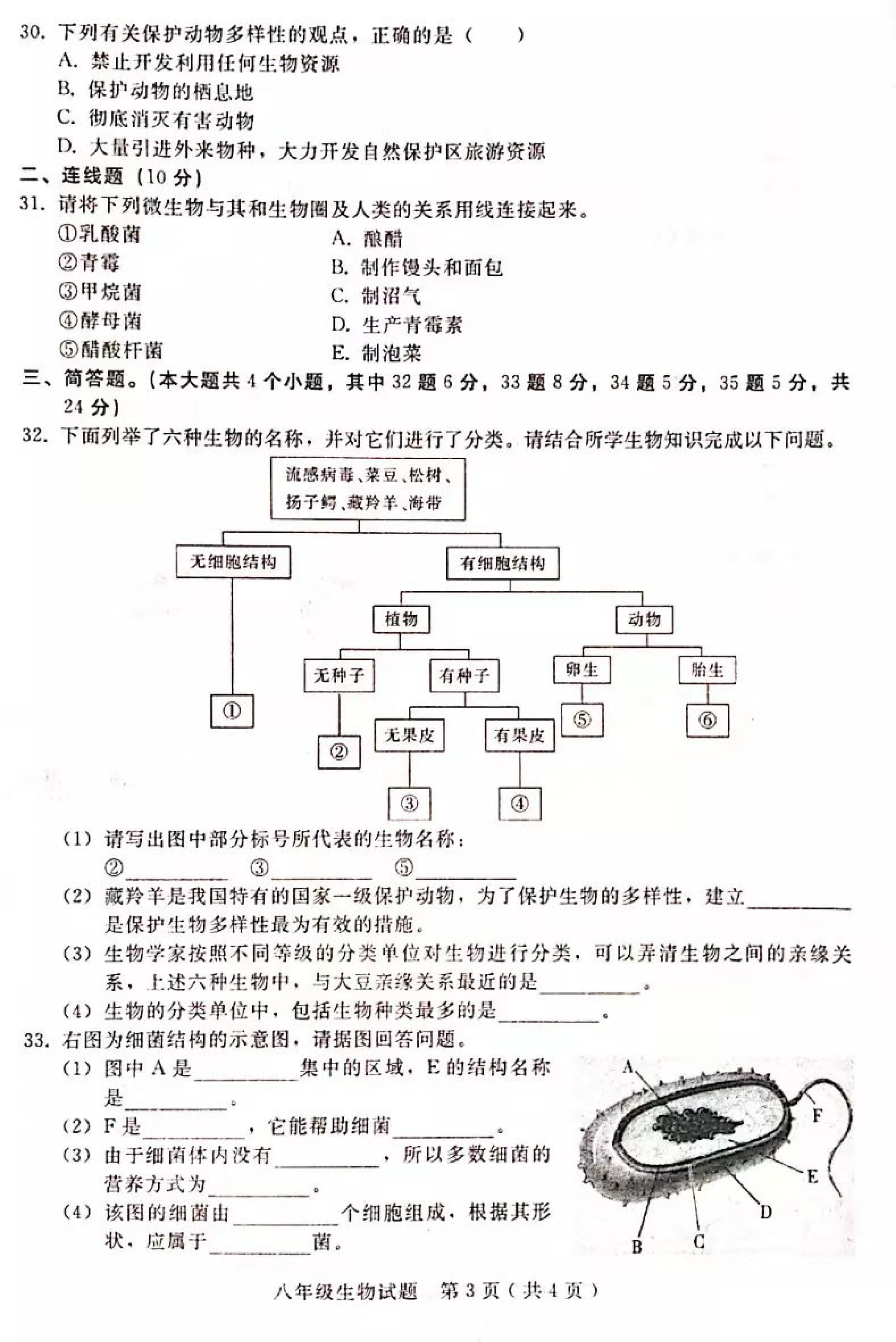 2019-2020河北邢台八年级生物上册期末试题含答案（图片版）