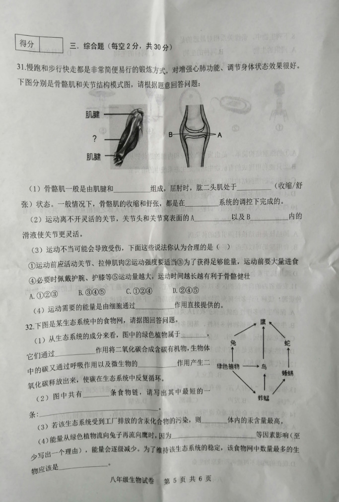 2019-2020安徽合肥八年级生物上册期末试题无答案（图片版）