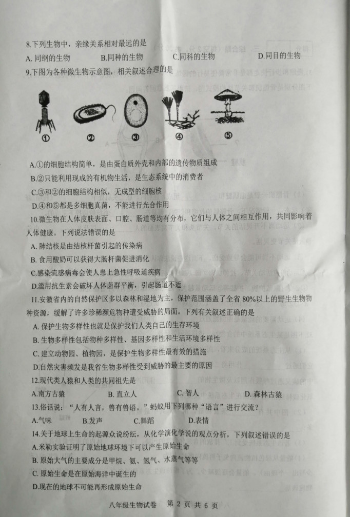 2019-2020合肥包河区八年级生物上册期末试题无答案（图片版）