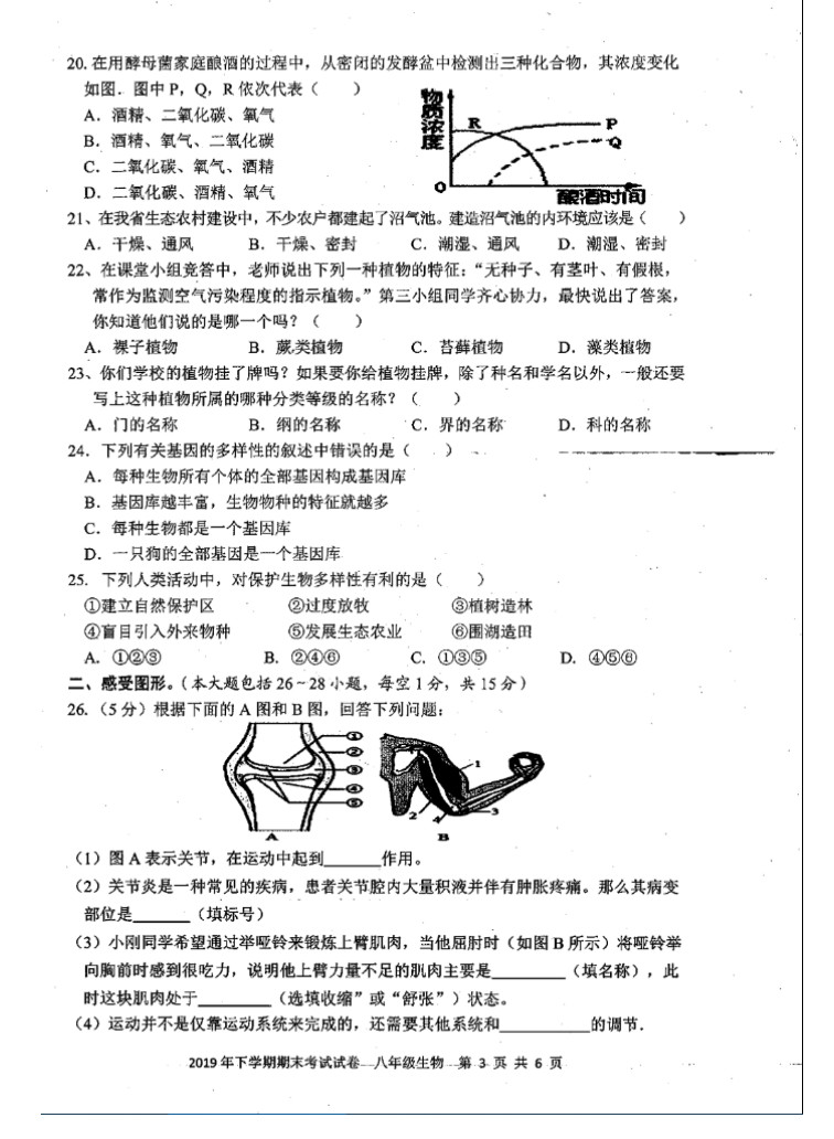 2019-2020湖南邵阳市八年级生物上册期末试题含答案