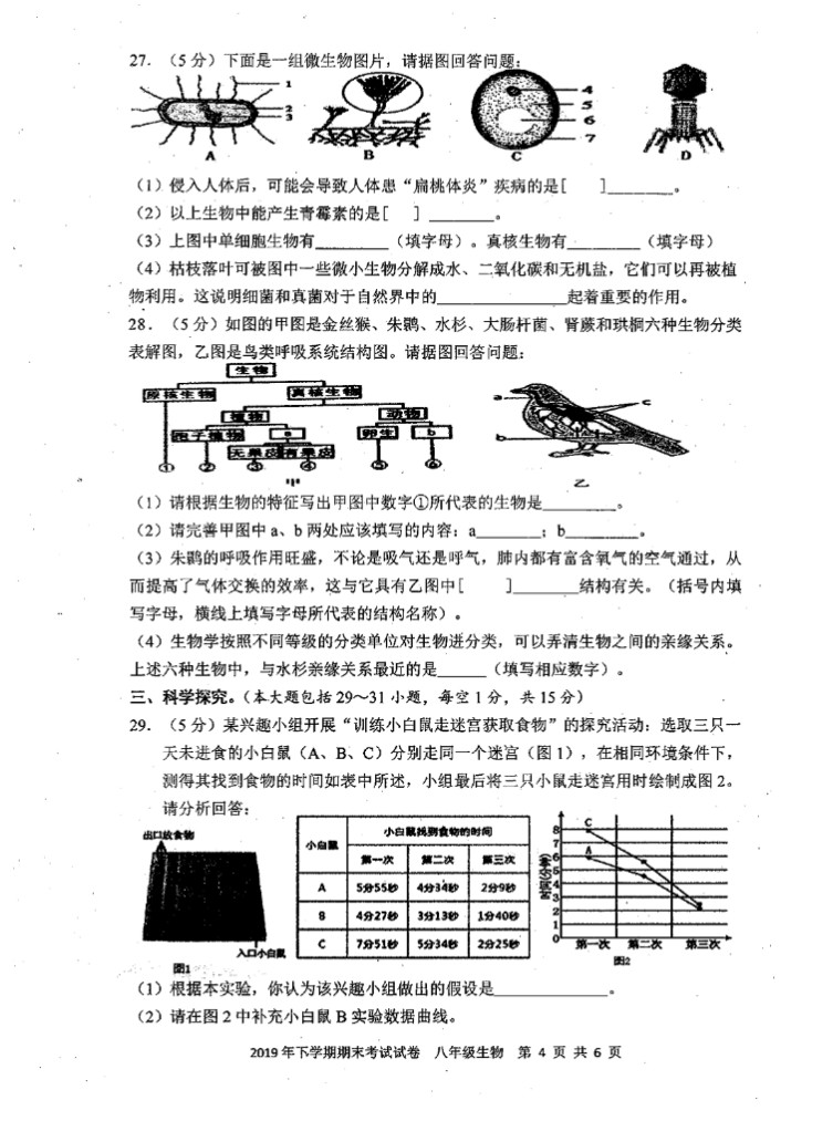 2019-2020湖南邵阳市八年级生物上册期末试题含答案