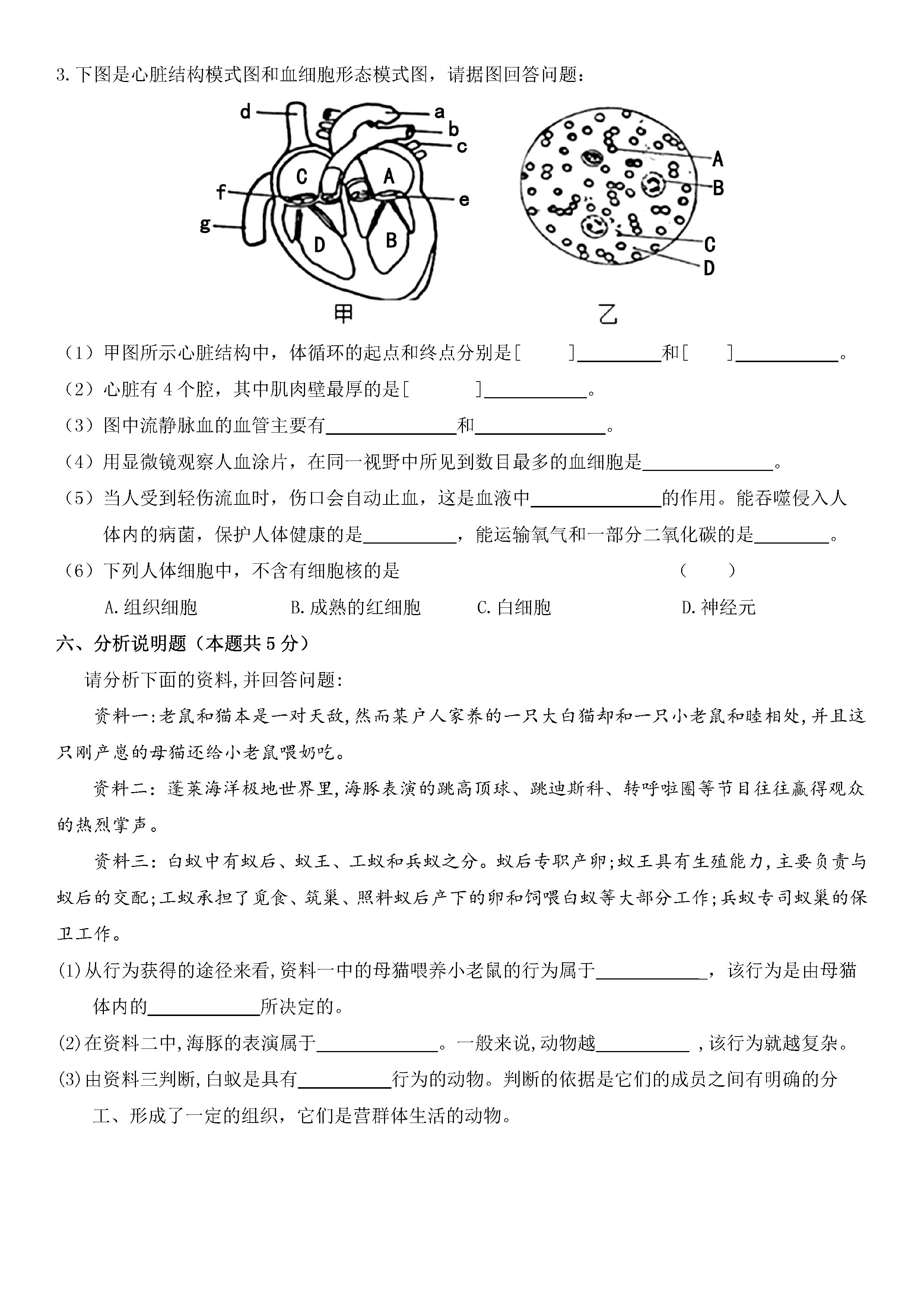 2019-2020银川市宁夏大学附中八年级生物上册期末试题无答案