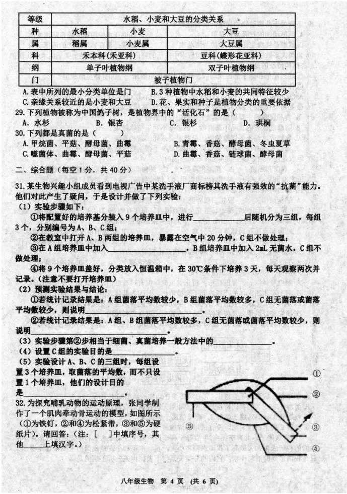 2019-2020江西新余八年级生物上册期末试题无答案（图片版）