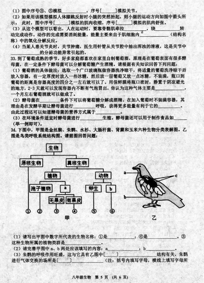 2019-2020江西新余八年级生物上册期末试题无答案（图片版）