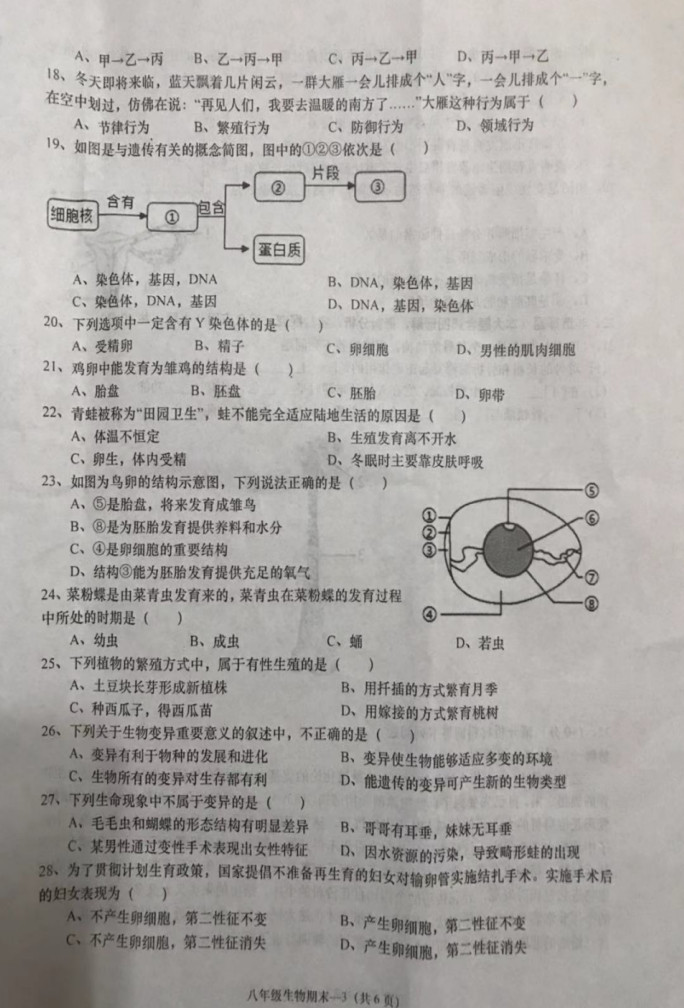 2019-2020广东揭阳八年级生物上册期末试题无答案（图片版）