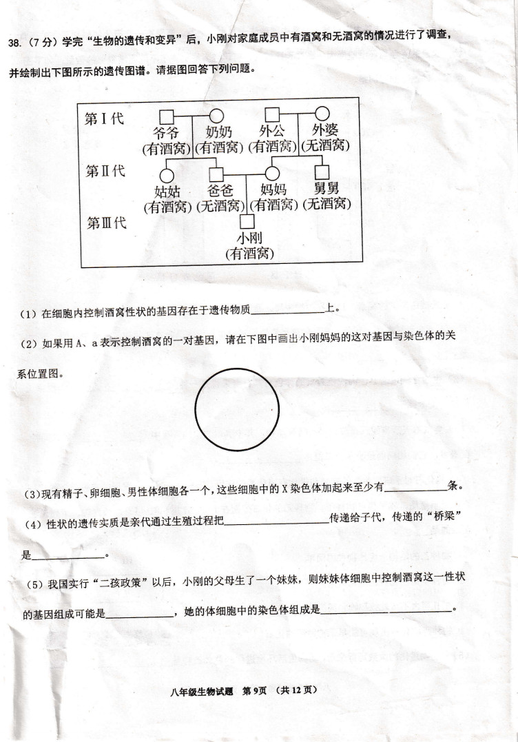 2019-2020山东青岛市八年级生物上册期末试题无答案（图片版）