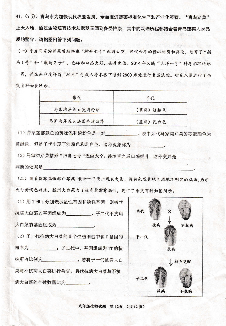 2019-2020山东青岛市八年级生物上册期末试题无答案（图片版）