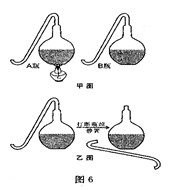 初二生物知识点,八年级生物测试题,初二生物同步训练