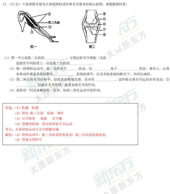 2015太原初二生物期中考试答案逐题解析（新东方版）