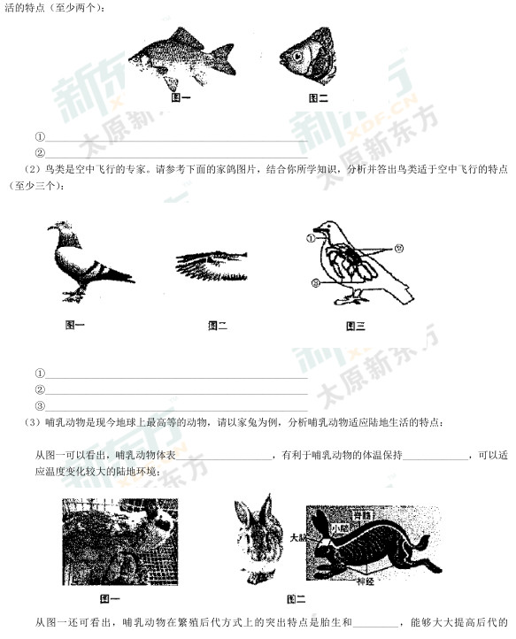 2015太原初二生物期中考试答案逐题解析（新东方版）